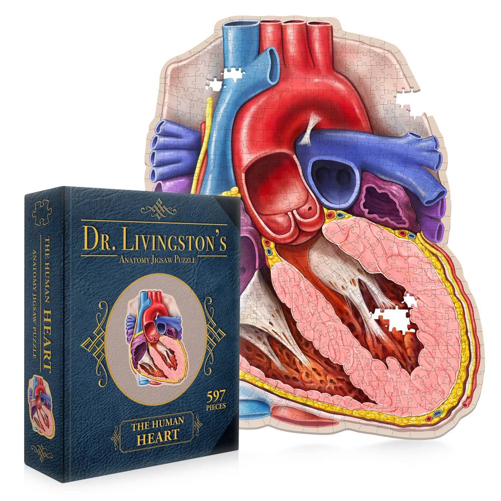 Dr. Livingstons Anatomy Jigsaw Puzzle: The Human Heart - Good Games