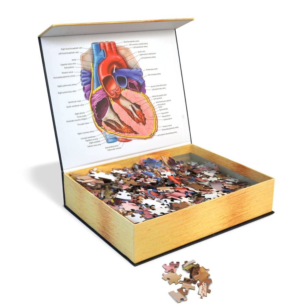 Dr. Livingstons Anatomy Jigsaw Puzzle: The Human Heart - Good Games