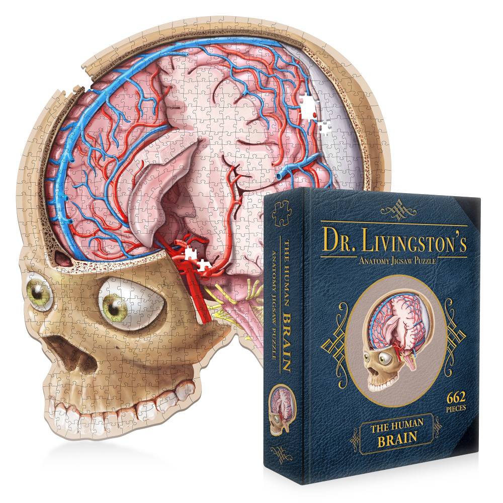 Dr. Livingstons Anatomy Jigsaw Puzzle: The Human Brain - Good Games