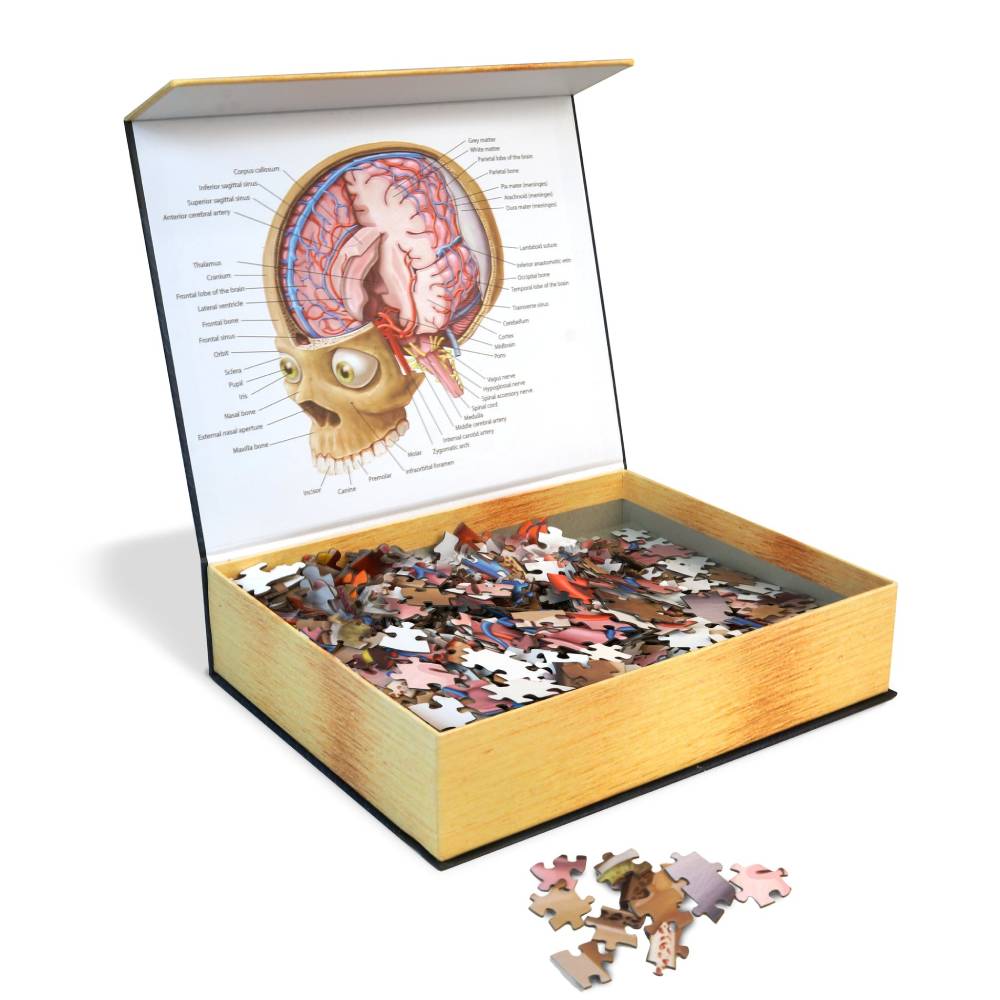 Dr. Livingstons Anatomy Jigsaw Puzzle: The Human Brain - Good Games