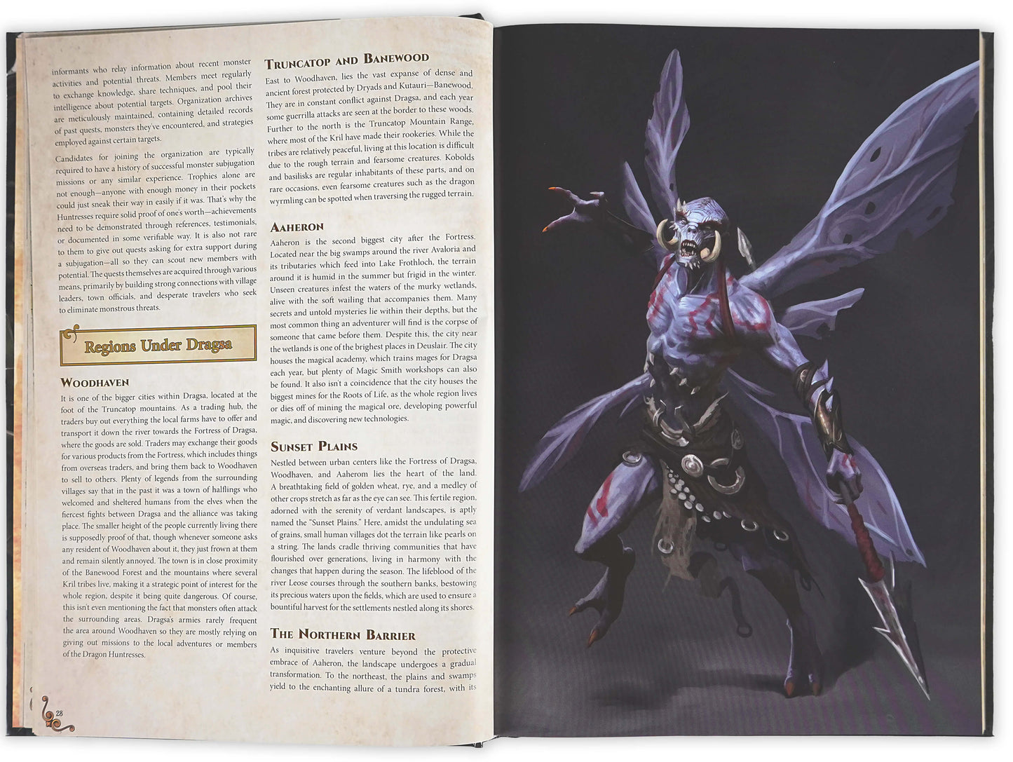 Dungeons & Lasers: The World Of Deuslair: Rpg Campaign (Hardcover) - Good Games