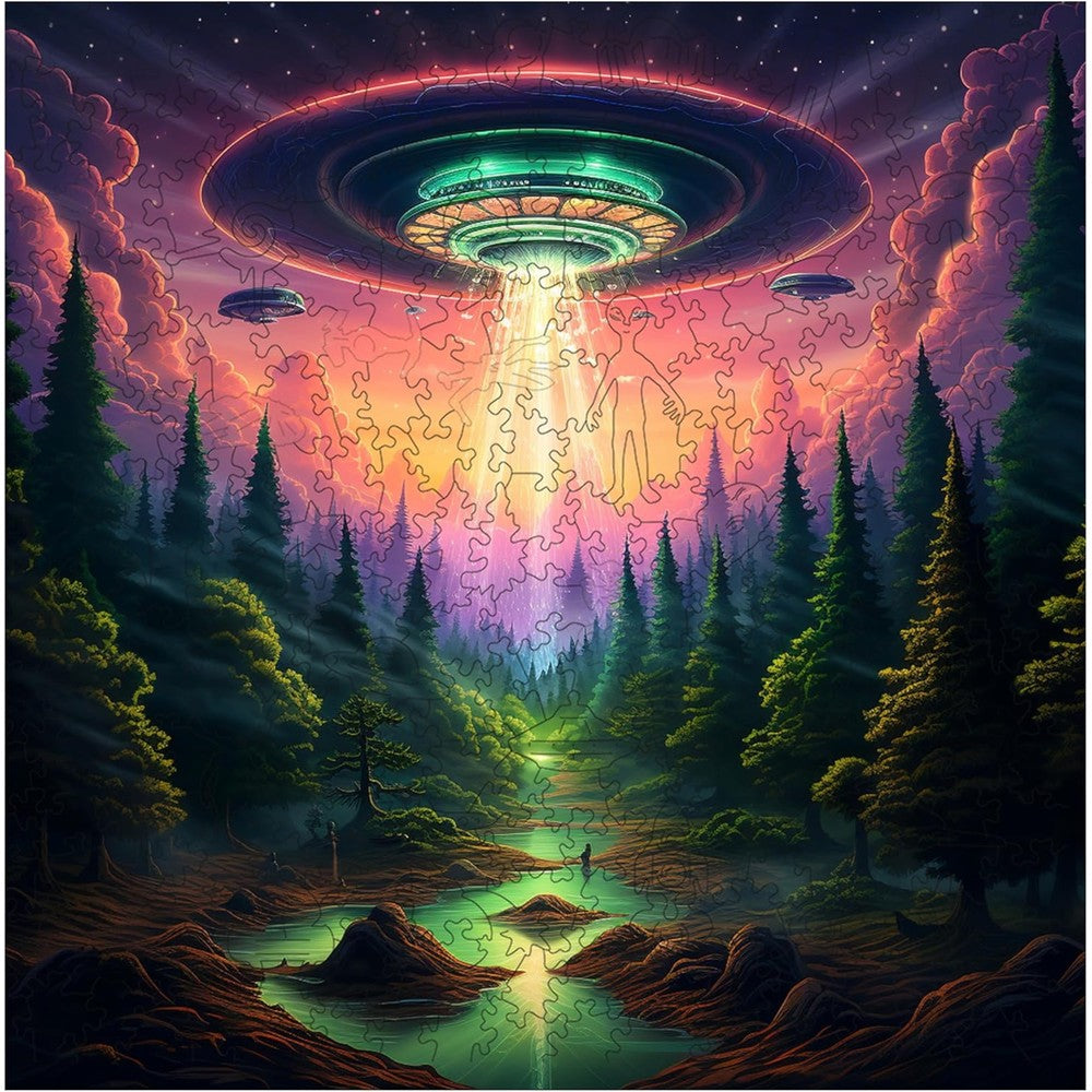 Trippy Puzzles - 300 Piece Wood Jigsaw Earthly Encounter