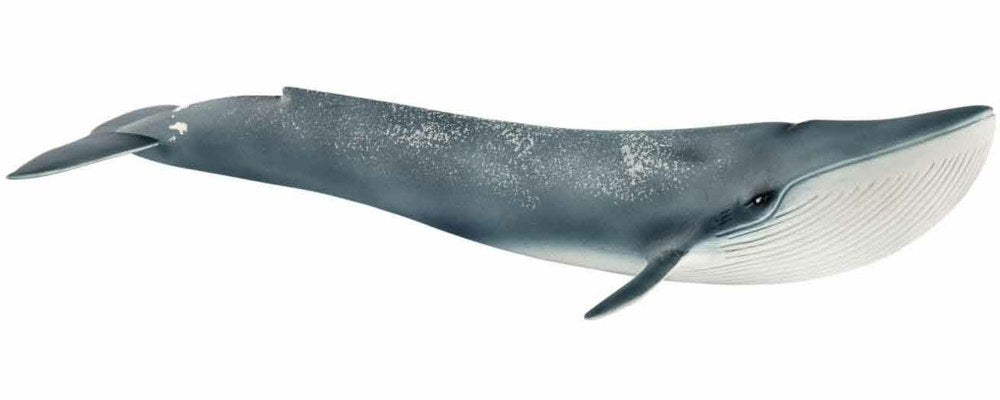 Schleich - Blue Whale - Good Games