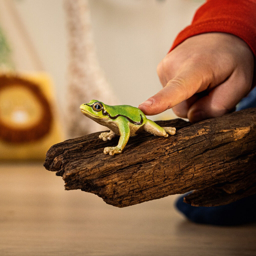 Schleich - European Tree Frog - Good Games