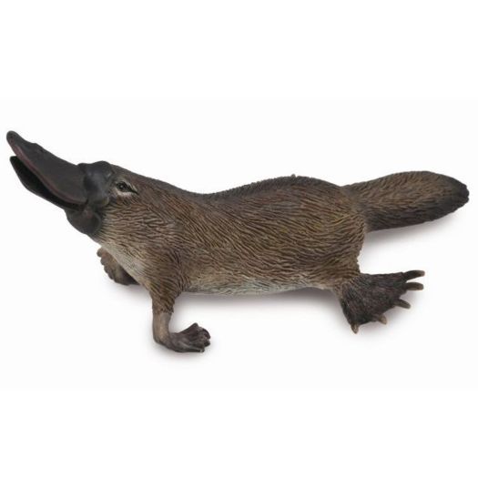 Collecta Platypus (M) - Good Games