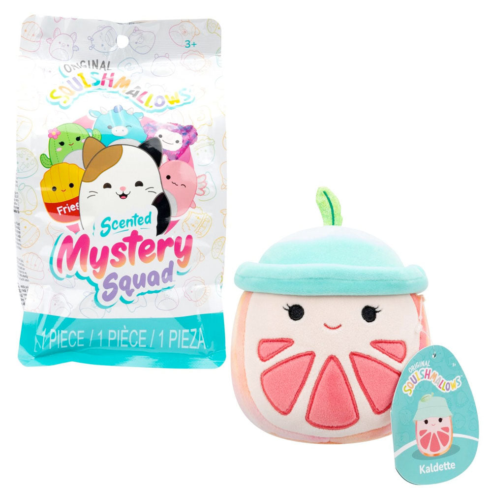 Pink grapefruit Squishmallow plush, Kaldette, sits beside its Scented Mystery Squad blind bag