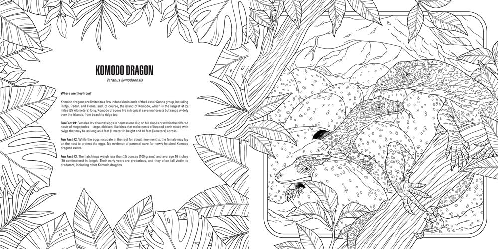 Black and white line art shows three Komodo dragons with tongues out - amidst tropical plants and rocks
