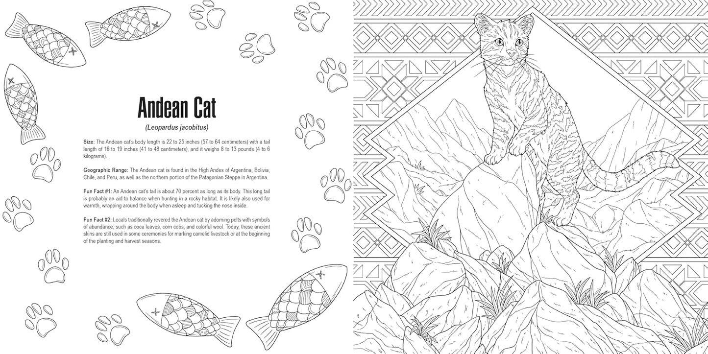 A black and white coloring page shows a striped Andean cat sitting on a rocky mountain ledge, looking forward