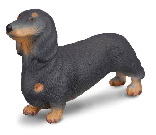 Collecta Dachshund (S) - Good Games