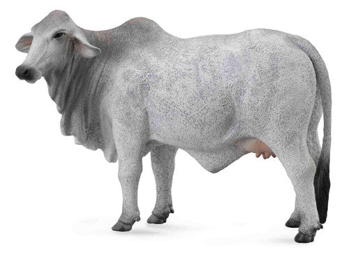 Collecta Brahman Cow Grey (L) - Good Games