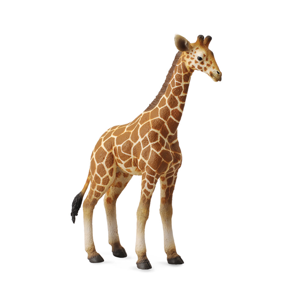 Collecta Reticulated Giraffe Calf (L) - Good Games