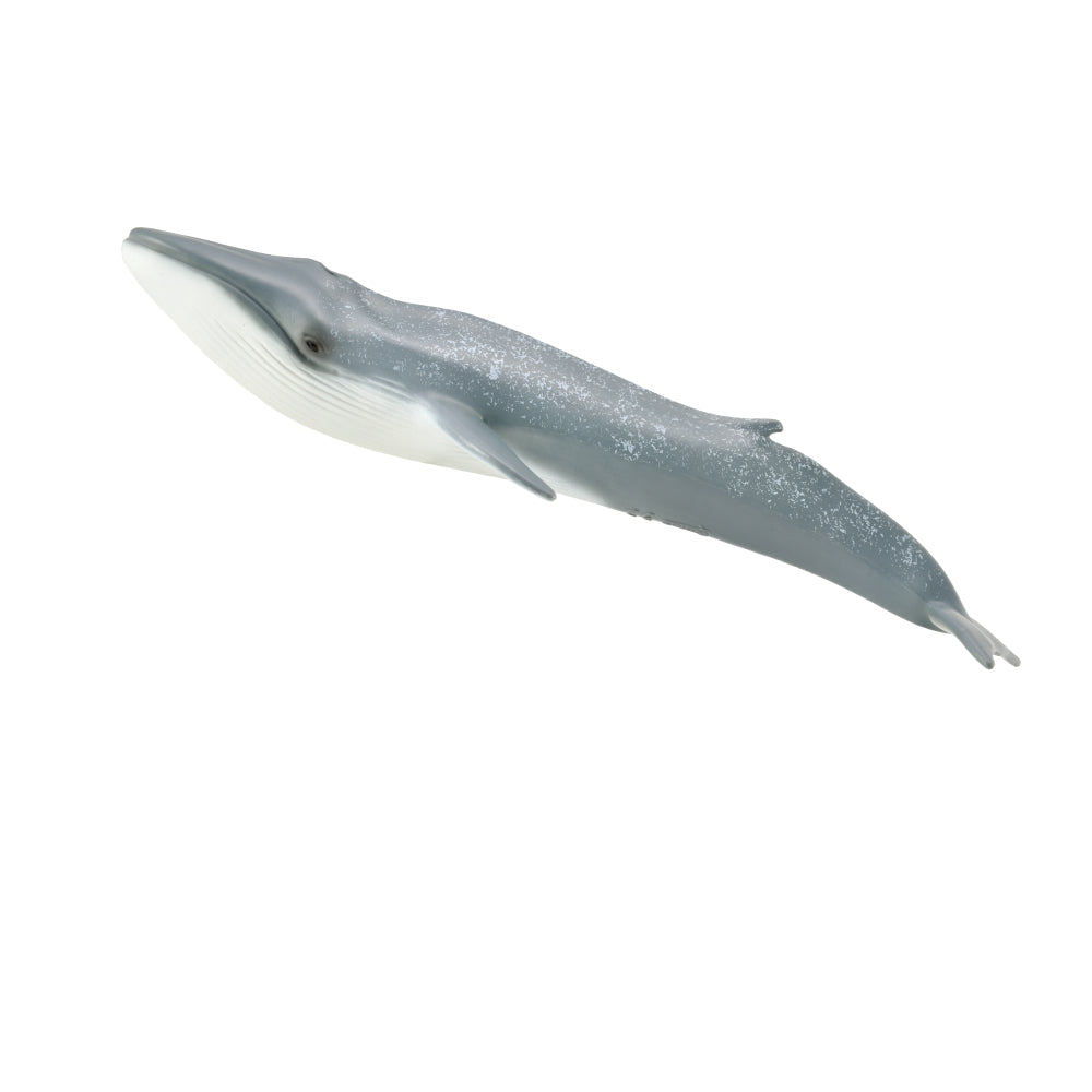 Collecta Blue Whale (Xl) - Good Games