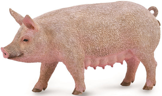 Collecta Pig - Sow (M) - Good Games