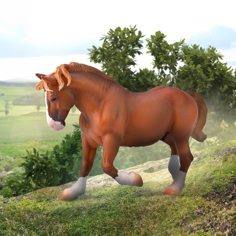 Chestnut draft horse with white blaze and feathered legs walking up a grassy hill