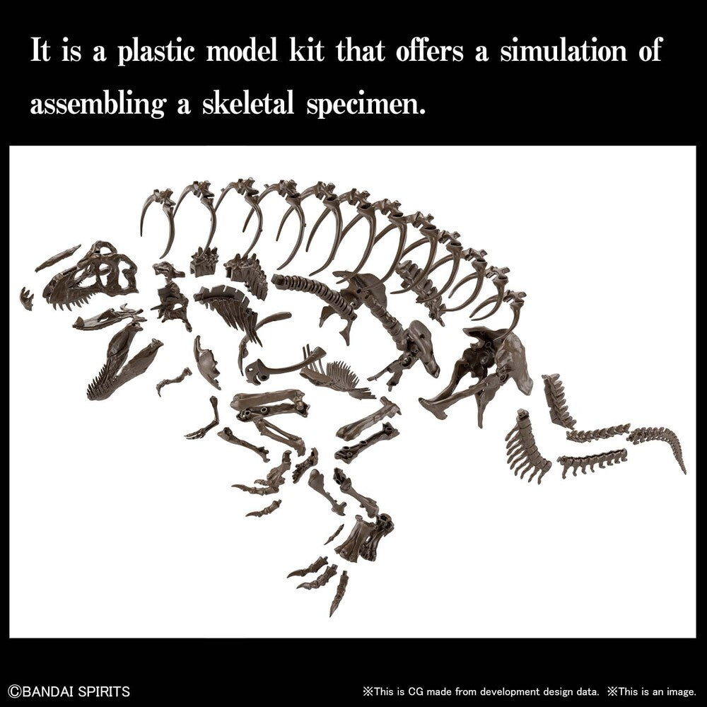 1/32 Imaginary Skeleton Tyrannosaurus - Good Games