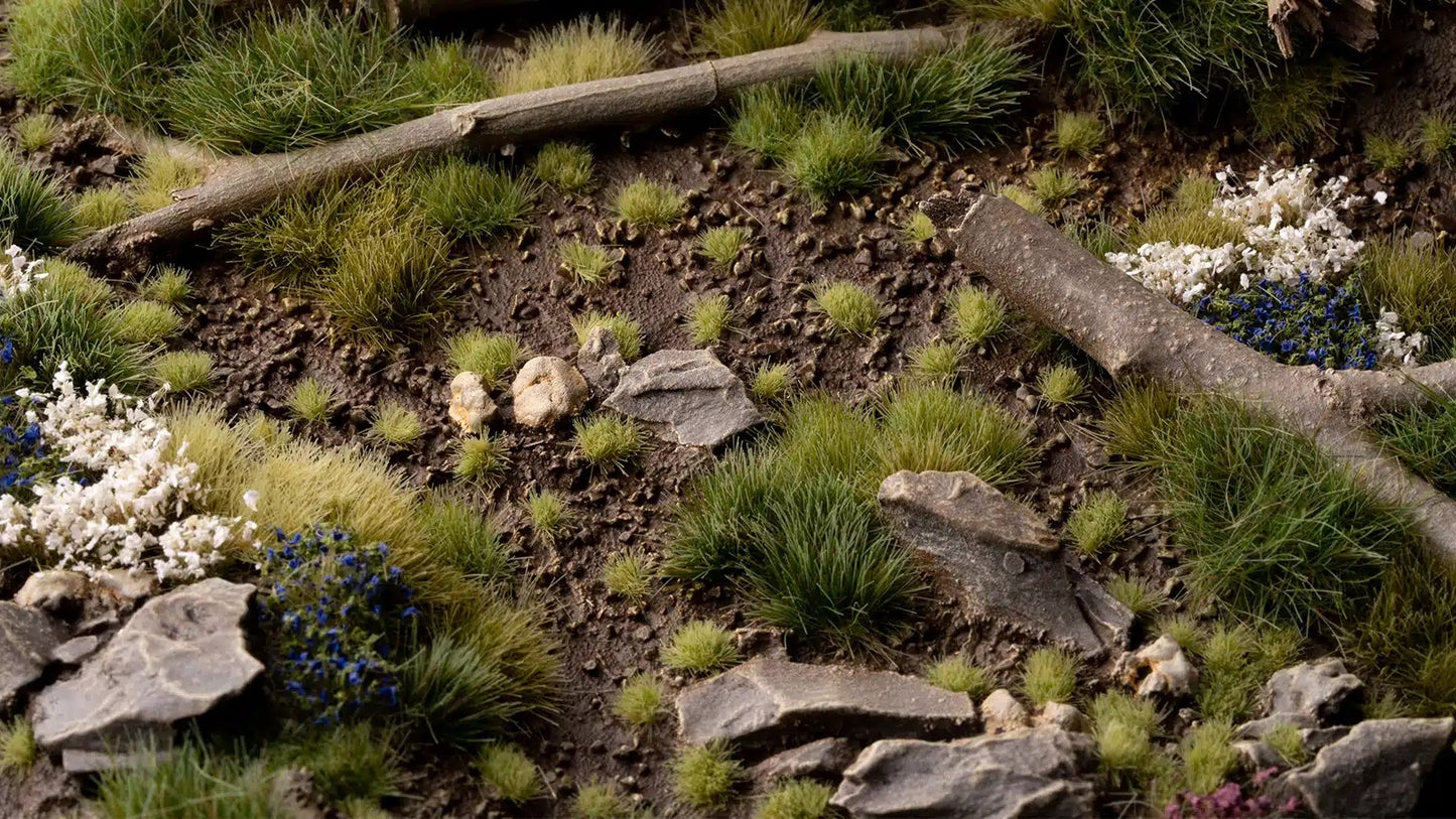 Miniature forest floor diorama with green grass, rocks, logs, and tiny white and blue flowers