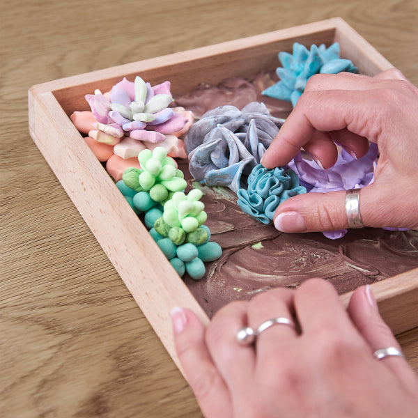 Wood and Craft Diy Succulents Tenderness - Good Games