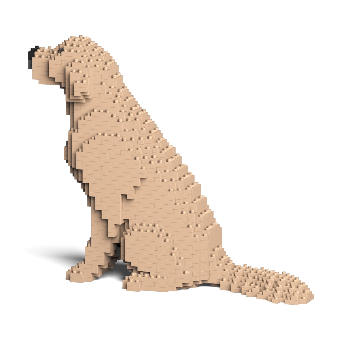 Jekca - Golden Retriever - Small 03s-m03 - Good Games