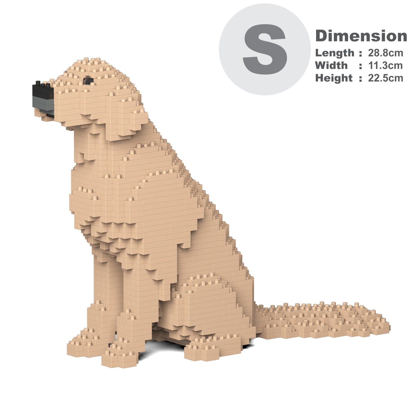 Jekca - Golden Retriever - Small 03s-m03 - Good Games