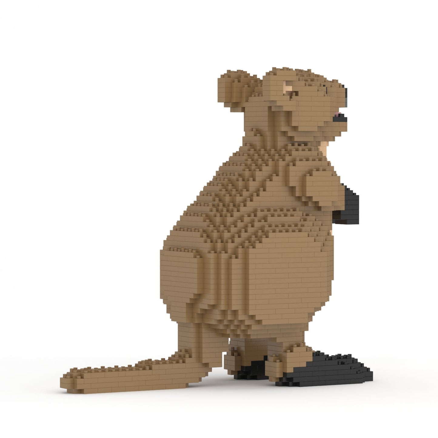 Jekca - Quokka - 01S - Good Games