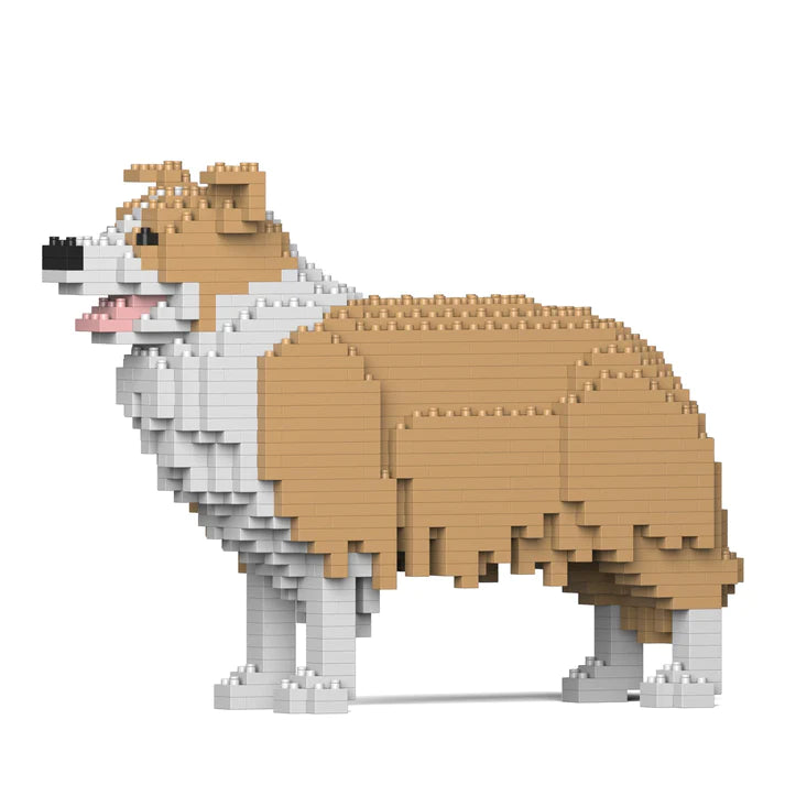 Jekca - Border Collie - Small 01s-m03 - Good Games