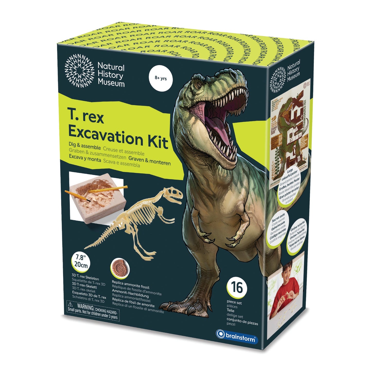 Brainstorm Toys - T-Rex Excavation Kit