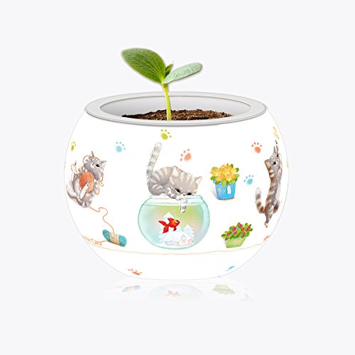 Flowerpot: Cats Play Time 3d 800 Piece Jigsaw Pintoo - Good Games