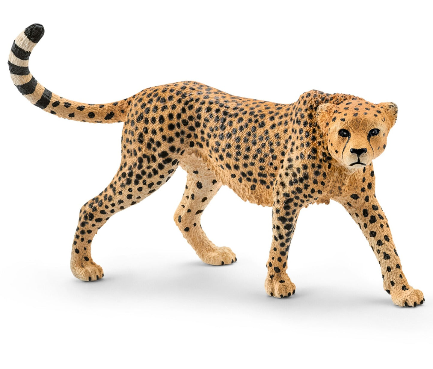 Schleich - Cheetah Female - Good Games