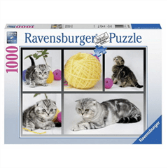 Ravensburger - A Yarn About Cats - 1000 Piece Jigsaw - Good Games