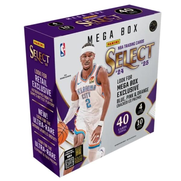 Panini 2025 Select Basketball Mega Box