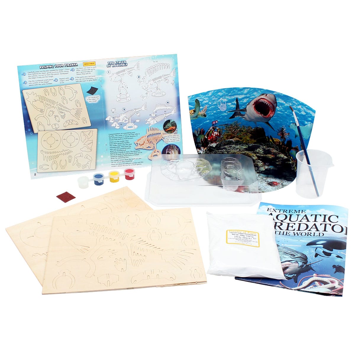 Aquatic predator science kit with wood pieces to build a fish skeleton, paints, instructions, and an information booklet