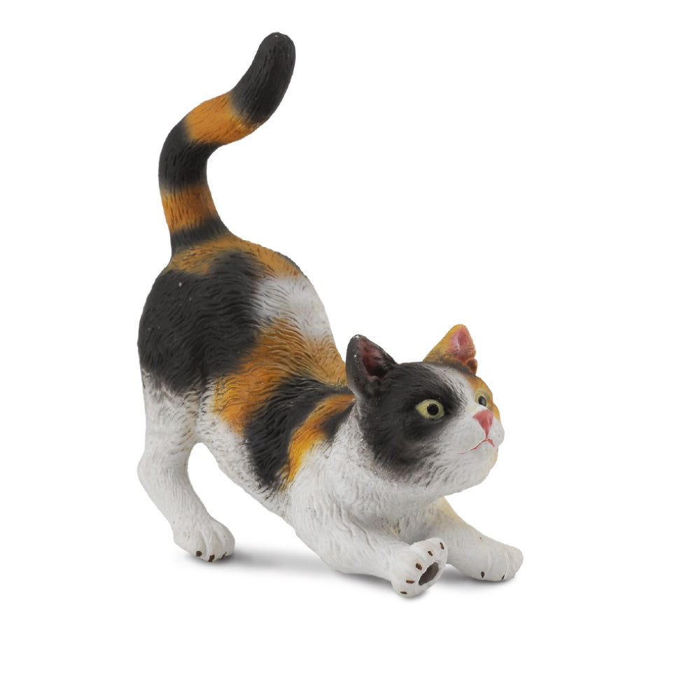 Collecta Cat Moggy Stretching - S - Good Games