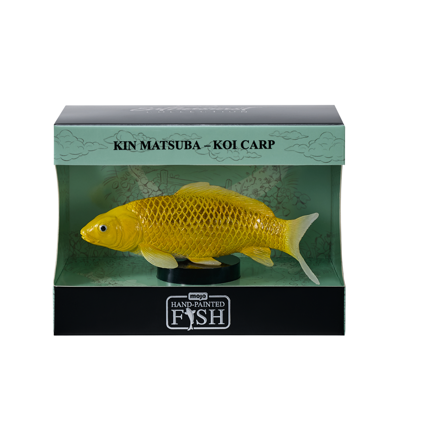 Mojo - Kin Matsuba Koi Carp Gift Boxed