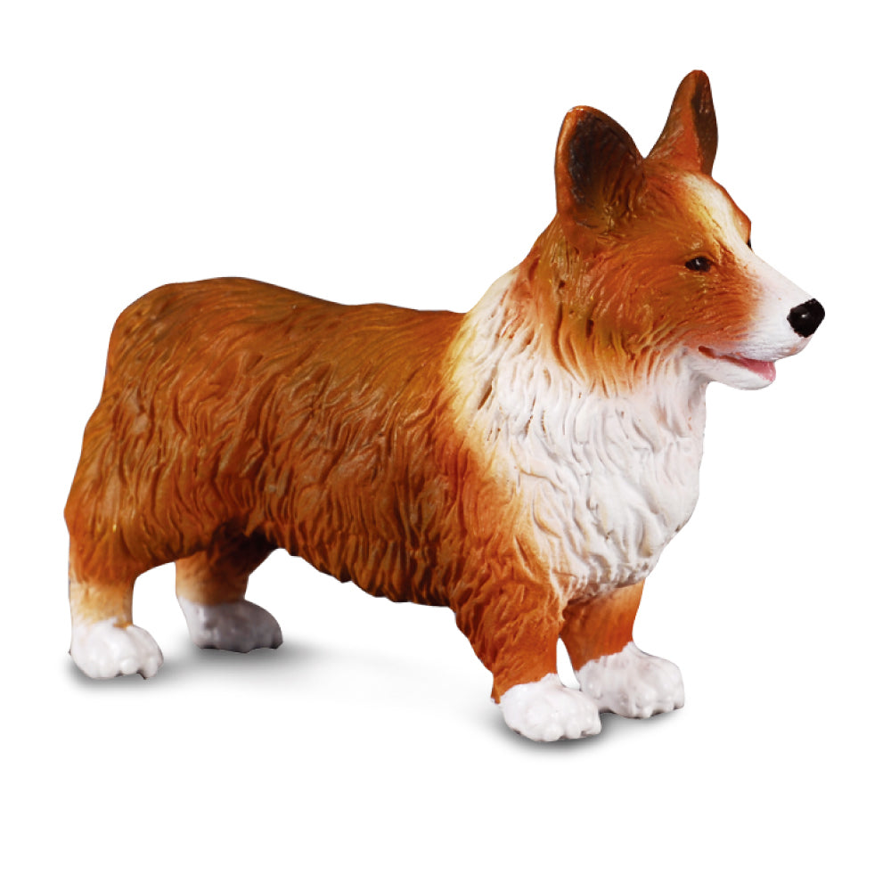 Collecta Welsh Corgi - M - Good Games