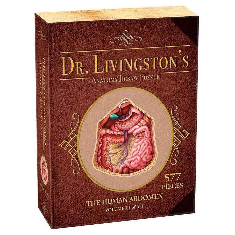 Dr Livingston Anatomy Jigsaw Puzzle The Human Abdomen 577 Pieces - Good Games