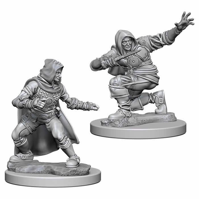 Pathfinder Deep Cuts Unpainted Miniatures Human Male Rogue - Good Games