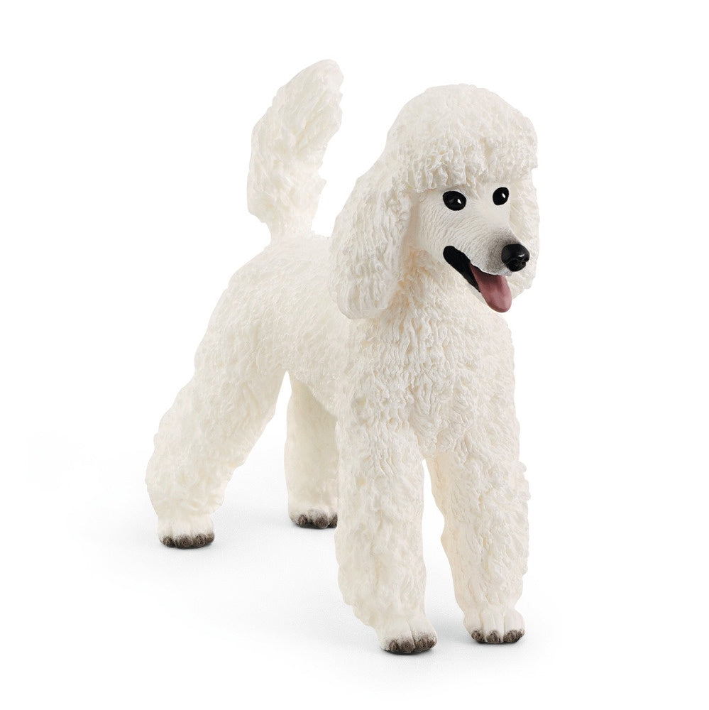 Schleich - poodle - Good Games