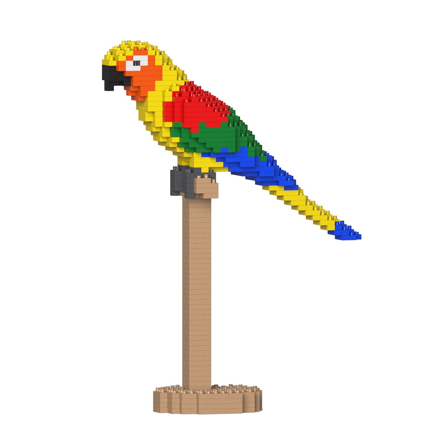 Jekca - Sun Conure - Small (01S) - Good Games