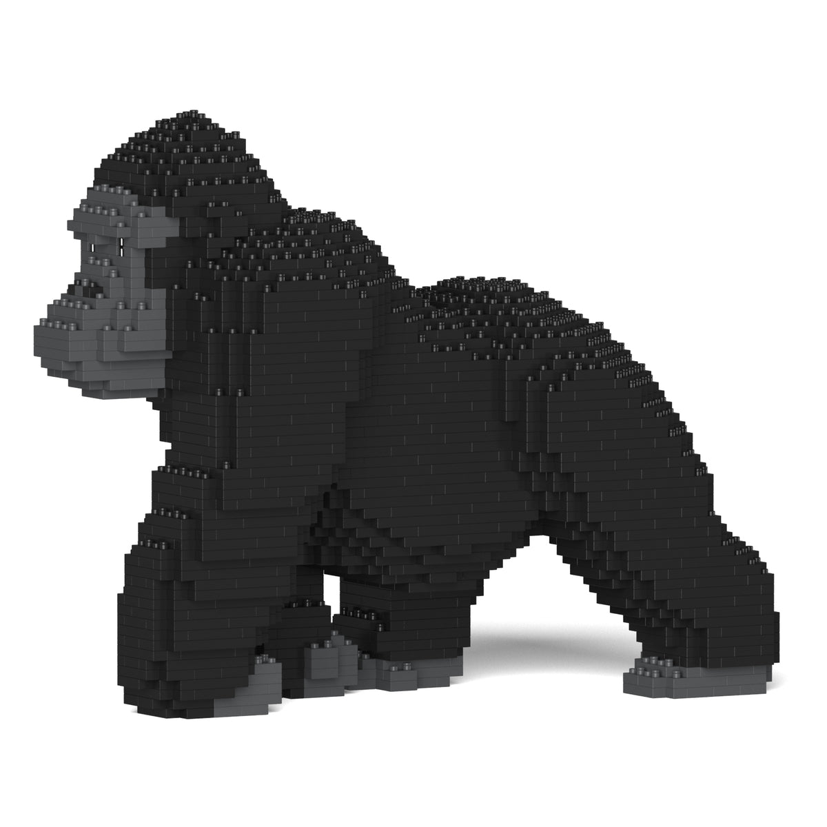 Jekca - Gorilla - Small (01S) - Good Games