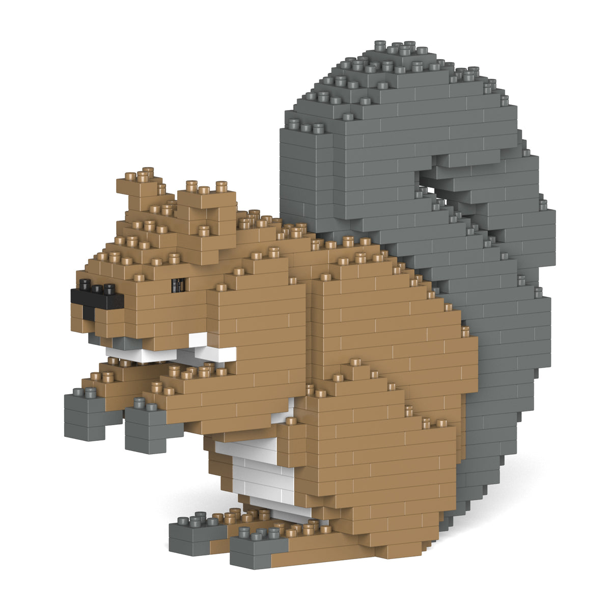 Jekca - Squirrel - Small (01S) - Good Games