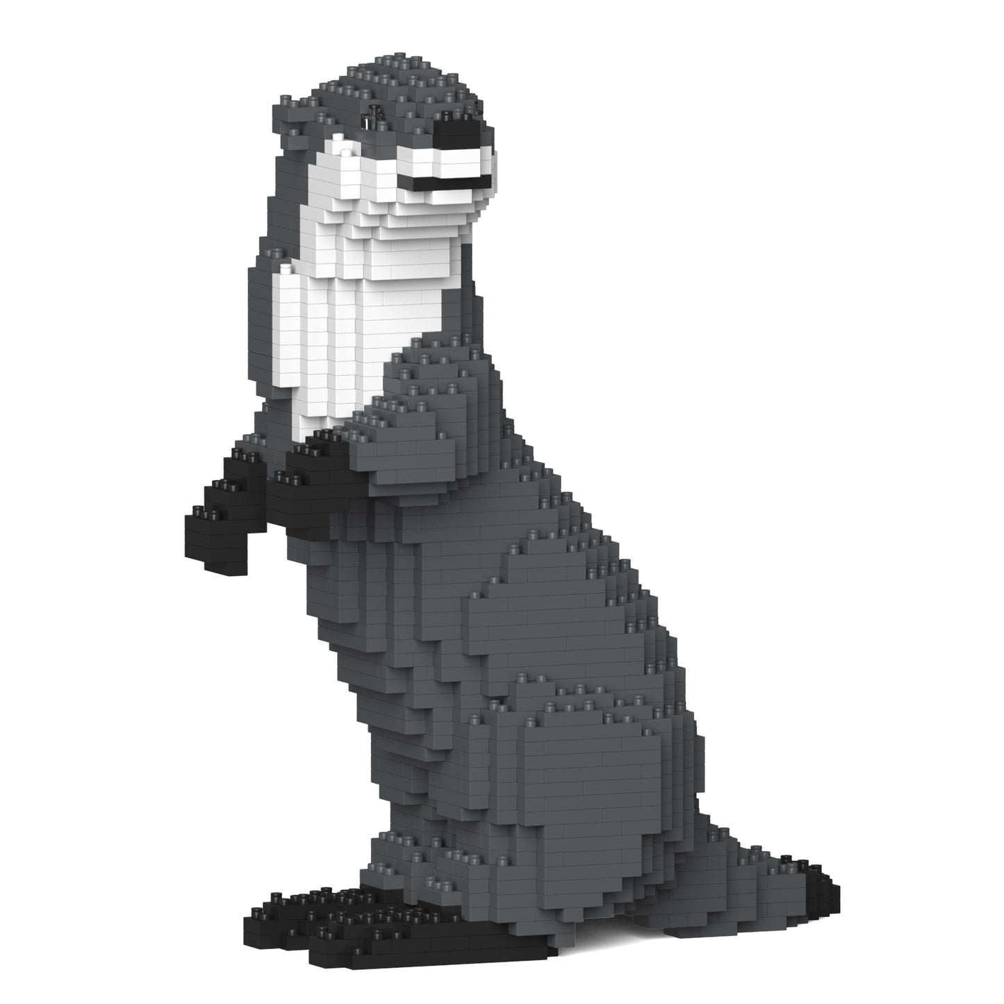 Jekca - Asian Small-clawed Otter - Small (01S) - Good Games