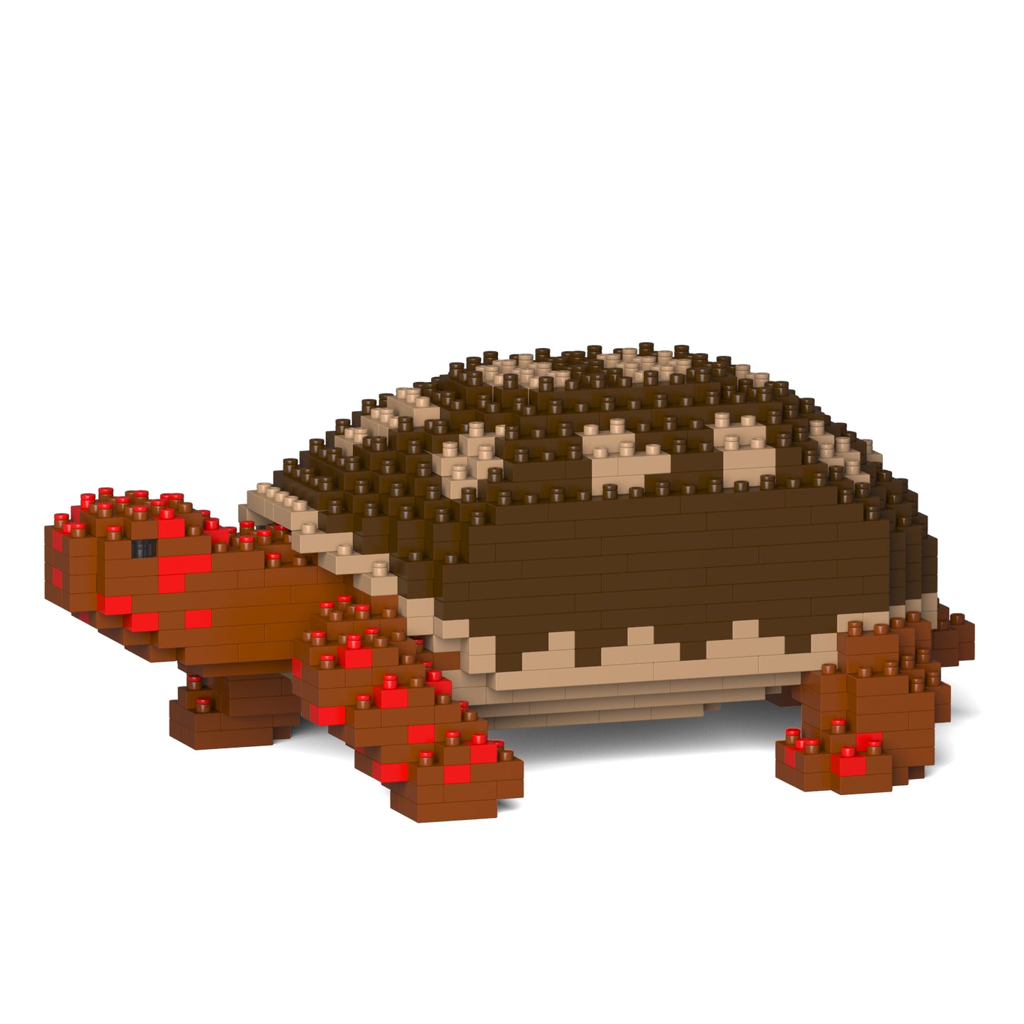 Jekca - Red-footed Tortoise - Small (01S) - Good Games