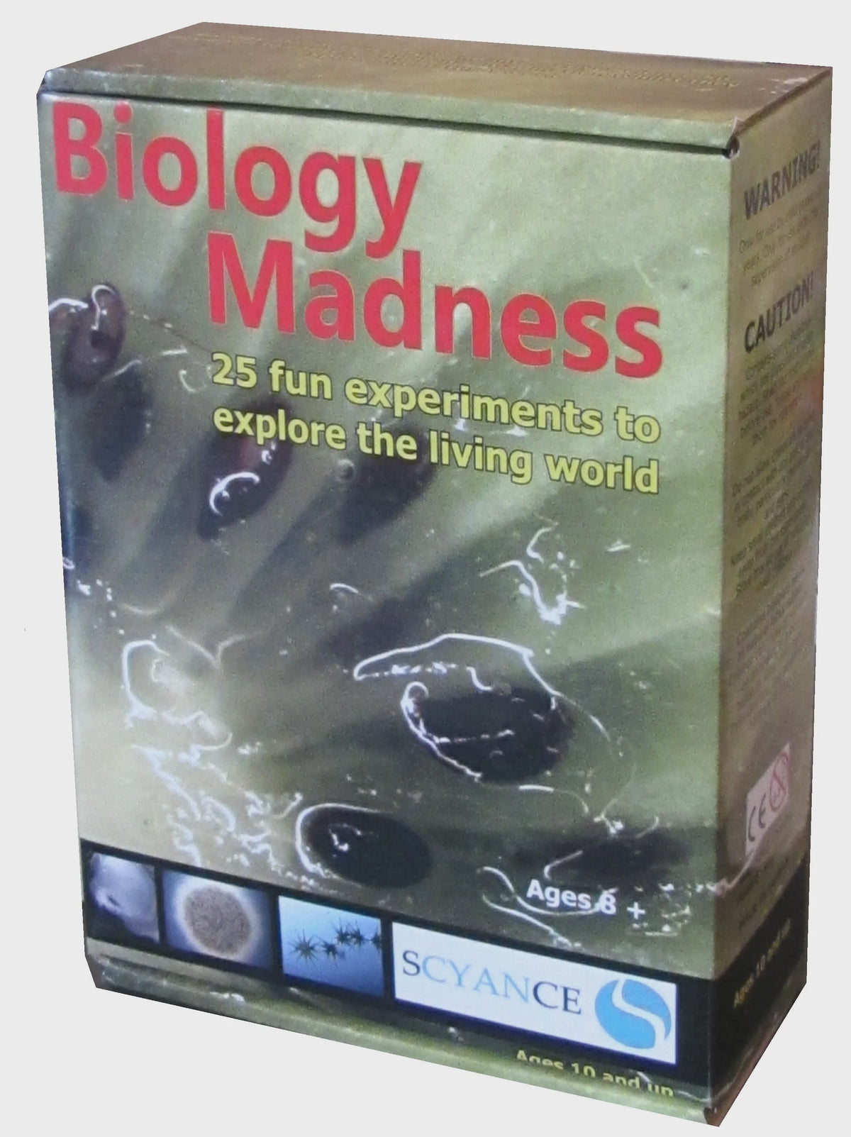 Biology Madness - Good Games