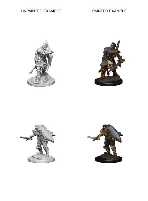 Dungeons & Dragons - Nolzurs Marvelous Unpainted Miniatures Human Male Paladin - Good Games