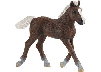 Schleich - Black Forest Foal - Good Games