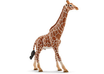 Schleich - Giraffe Male - Good Games