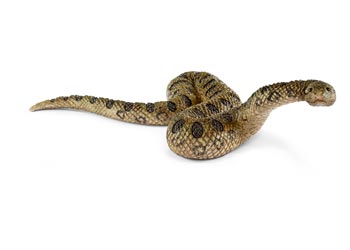 Schleich - Green Anaconda - Good Games