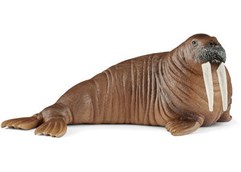 Schleich - Walrus - Good Games