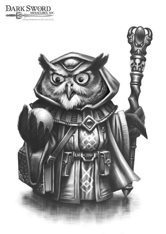 Visions in Fantasy: Owl Mage - Good Games
