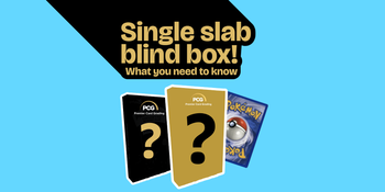 PCG Blind Box Mystery Slab